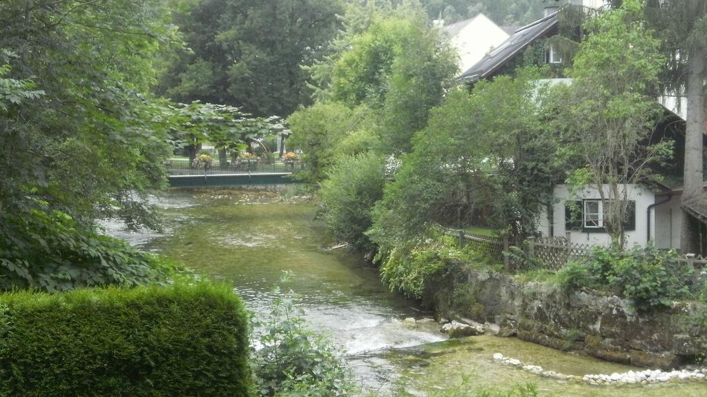 Apartment An Der Traun Bad Aussee Værelse billede